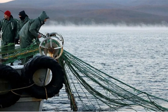 251 milyon liralık destek hesaplara yattı
